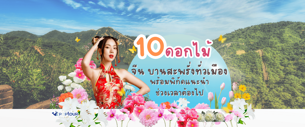 10 ดอกไม้ จีน บานสะพรั่งทั่วเมือง